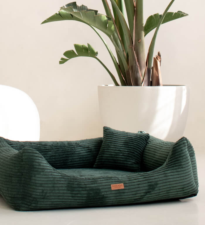 Rimini Bottle green